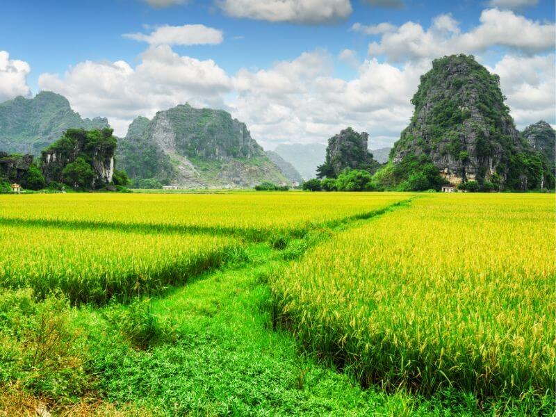 nhung canh dep ninh binh