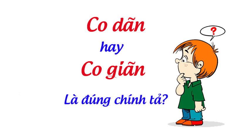 co dãn hay Co giãn