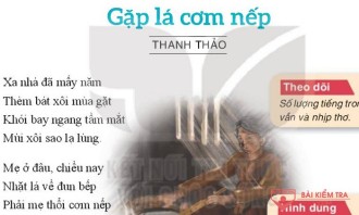 Viết đoạn văn ghi lại cảm xúc sau khi đọc một bài thơ năm chữ: Gặp lá cơm nếp